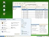 openSUSE 11.0 (PC)