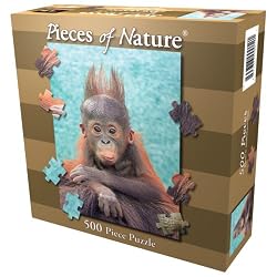 Baby OrangutanJigsaw Puzzle 500pc