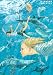 五十嵐大介画集・海獣とタマシイ (原画集・イラストブック)