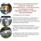 The Online Business Setup, Cheap Marketing, Online Auctions for Bartender Guides... by J Bowman J Orr