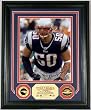 Mike Vrabel Autographed Patriots Perfect Season Photo Mint
