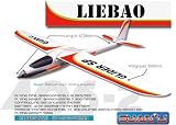 Liebao 4CH Powered RC Glider Brushed 35Hz Folding Propeller