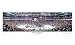 Carolina Hurricanes - 2006 Stanley Cup Champions' Panoramic Standard Framed Photograph