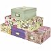 Pioneer B-1 Photo / Video Storage Box - holds over 1,100 photos up to 4" x 7" or 10 VHS videos - Special Set Of 3