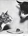 Cat and Mouse, and Dog, 1955 Art Print Poster By Jytte Bjerregaard Muller, 22  x 28 