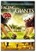 DVD : Facing the Giants (Widescreen)
