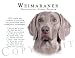 Weimaraner Human Trainer Mouse Pad Dog Mousepad