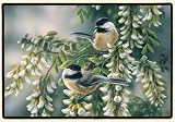 New Fiddler's Elbow Chickadees Doormat 100% Polyester Face Permanently Dye Printed & Fade Resistant