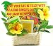 Beach Themed Gourmet Snack Food Basket - Great Housewarming or Thank You Gift Idea