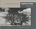 Books : Magnificent Failure: A Portrait of the Western Homestead Era