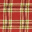 Happy Trails Plaid Red