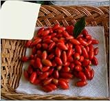 10 Fresh Miracle Fruit Berries! - Turn Sour Sweet and Enjoy Lemons Like Lemonade! Flavour Tripping Parties & Health Benefits - *Luxury Miracle Fruit Experience*