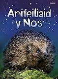 Anifeiliaid y nos