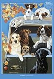 All Aboard! Mixed Dogs 1000 Piece Jigsaw