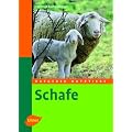 Ratgeber Nutztiere. Schafe