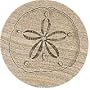 Sand Dollar Thirstystone Sandstone Coasters