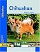 Chihuahua, Praxisratgeber bei Bücher zum Namen: 51pyvQVFCsL._SL75_