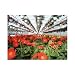 Expansion Mansion Greenhouse - FRAME ONLY Span / Size: Single / 21' W x 120' D