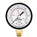 Winters 2 inch Dial Size, Economy Utility Dry Pressure Gauge, Brass Internals, Black Steel Case, Dual Scale 0-300 psi/kPa, 3-2-3% Accuracy, 1/8 inch NPT Bottom Mount, Multi Function Pressure Gauge