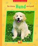 Der kleine Hund wird gro�