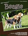 Unser Traumhund: Beagle