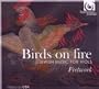 Birds on Fire: Jewish Music for Viols