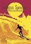 The Endless Summer Revisited
