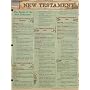 New Testament, Quick Reference Guide (Quick Study Academic)