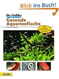 Gesunde Aquarienfische, Ihr Hobby