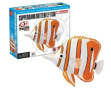 Tedcotoys Copperband Butterfly Fish Kids Educational Science Activity Kit