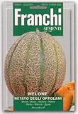【FRANCHI社種子】【91/3】イタリアンメロン　RETATO DEGLI ORTOLANI
