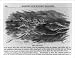 Historic Print (L): [Illus. of shore-to-ship life-saving cable cars: The Surf Boat rowing toward ship]