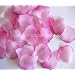 200 Pink/Fuchsia Silk Rose Petals Wedding Party Favors