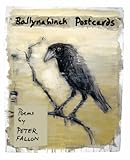 Ballynahinch postcards : poems