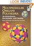 Multimodular Origami Polyhedra: Archimedeans, Buckyballs and Duality (Dover Origami Papercraft)