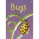 Bugs (Usborne Beginners)