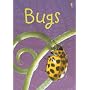 Bugs: Level 1 (Usborne Beginners)