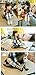 Gellwhu 12 Pairs Baby Girls Boys Cartoon Knee High Stockings Tube Socks 1-5Y