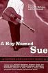 A Boy Named Sue: Gender and Country Music (American Made Music Series)