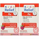 Kids Relief Flu Oral Solution, .85-Ounce Bottle (Pack of 2)
