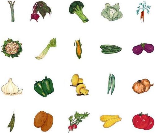 Brother/Babylock Embroidery Machine Card VEGGIES 
