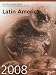 Latin America 2008 (World Today Series Latin America)