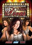 Kitchen & Housewares : WWE Divas 2009 Calendar
