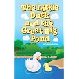 The Little Duck and The Great Big Pond (Fun Rhyming Childrens Books)