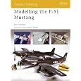 p 51 Modelling the p 51 Modelling the