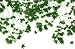 Autumn Leaves PREMIUM GRADE Rolled CANVAS Art Print Dave Brullmann 71x46