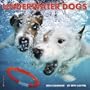Underwater Dogs 2014 Calendar