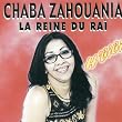 La reine du raï, H'bibi