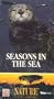Seasons in the Sea
