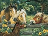 Pferdegefl�ster, 200 Teile Puzzle - 